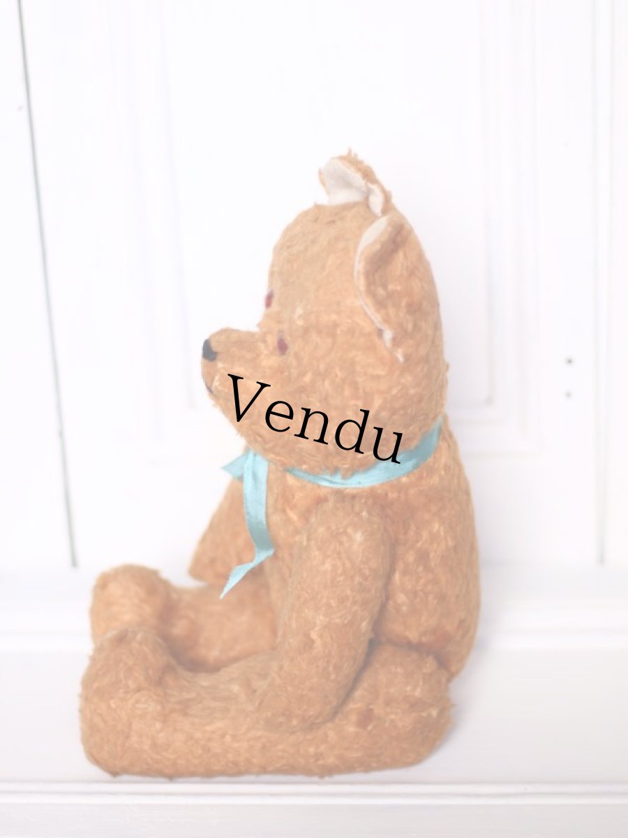 画像7: Le Jouet Paris Massy/J.P.M. Bear//14.5in//France (7)