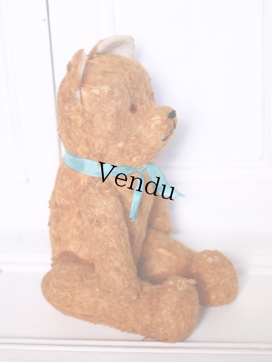 画像6: Le Jouet Paris Massy/J.P.M. Bear//14.5in//France (6)