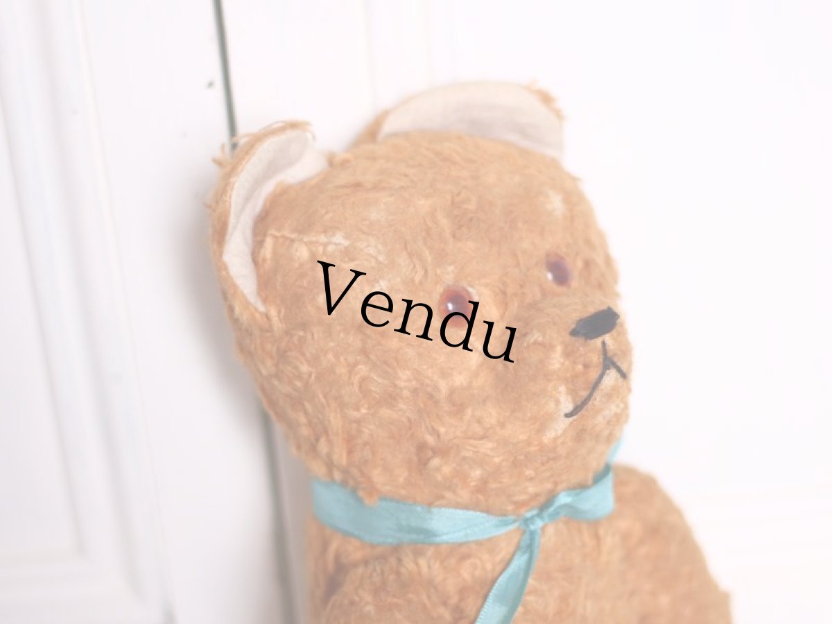 画像11: Le Jouet Paris Massy/J.P.M. Bear//14.5in//France (11)