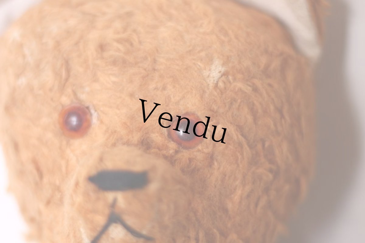 画像4: Le Jouet Paris Massy/J.P.M. Bear//14.5in//France (4)