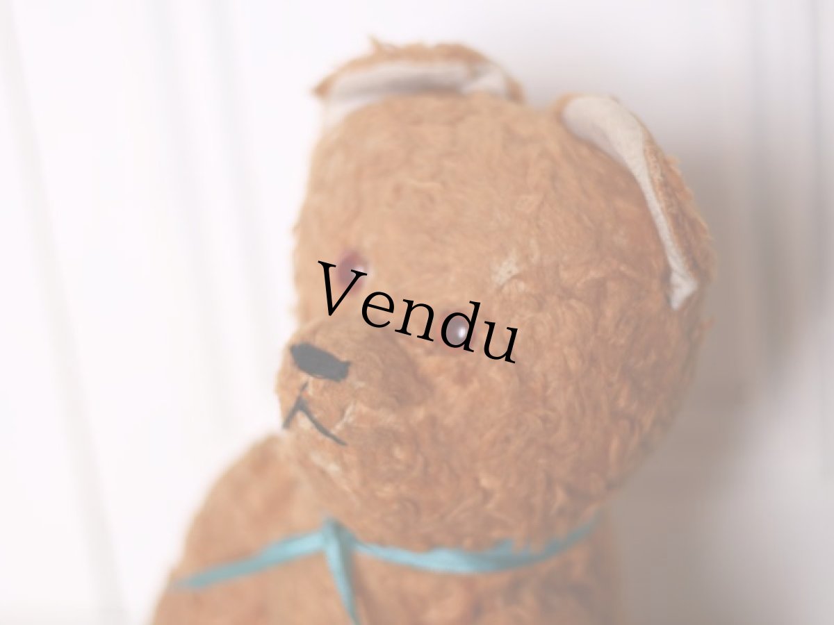 画像12: Le Jouet Paris Massy/J.P.M. Bear//14.5in//France (12)