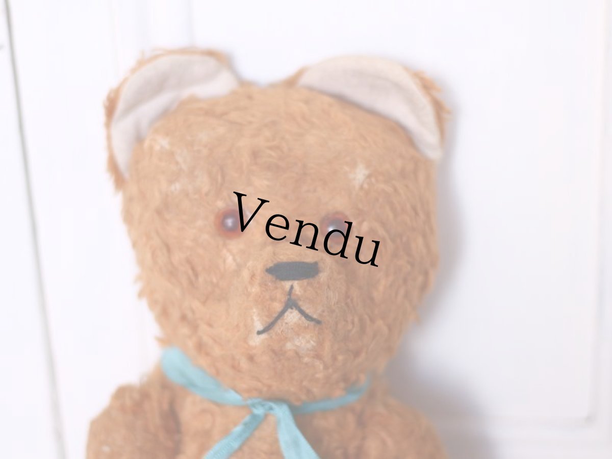 画像2: Le Jouet Paris Massy/J.P.M. Bear//14.5in//France (2)