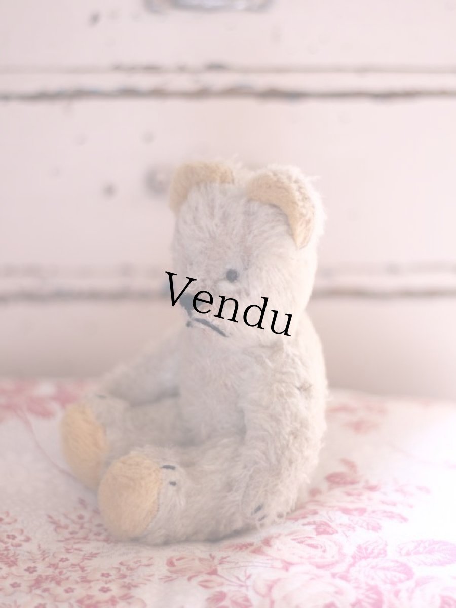 画像5: French Bear/7in//France (5)