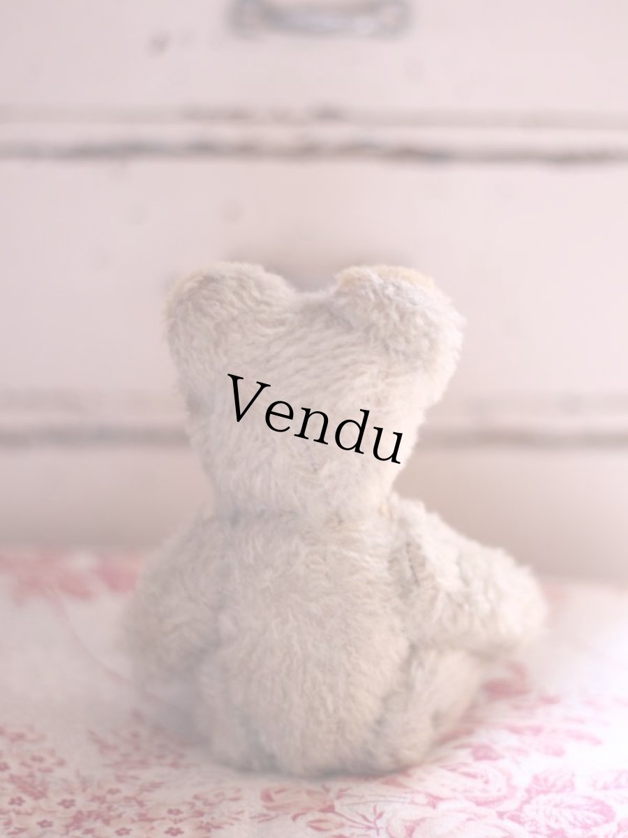 画像6: French Bear/7in//France (6)