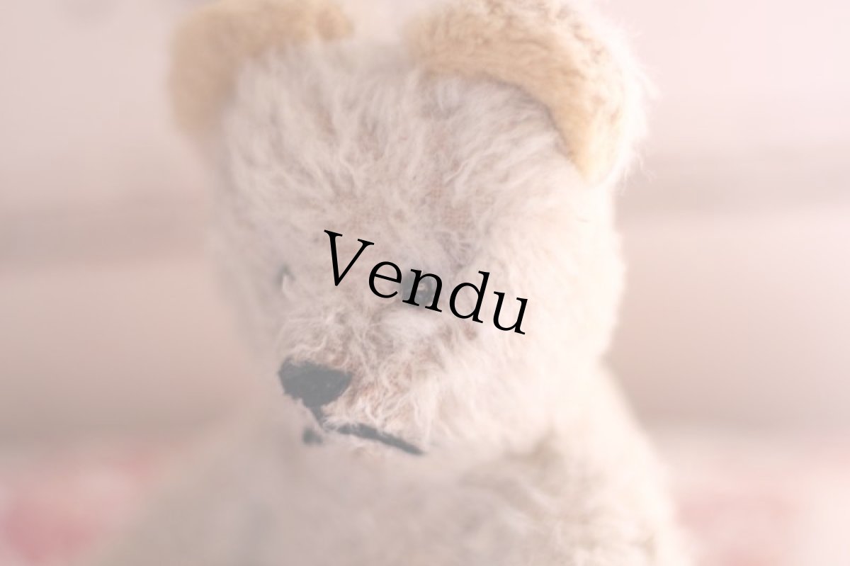 画像8: French Bear/7in//France (8)