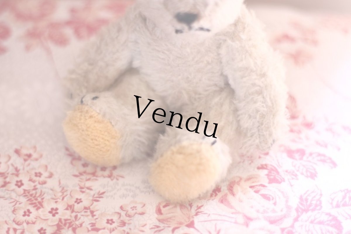 画像3: French Bear/7in//France (3)