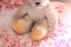 画像3: French Bear/7in//France (3)