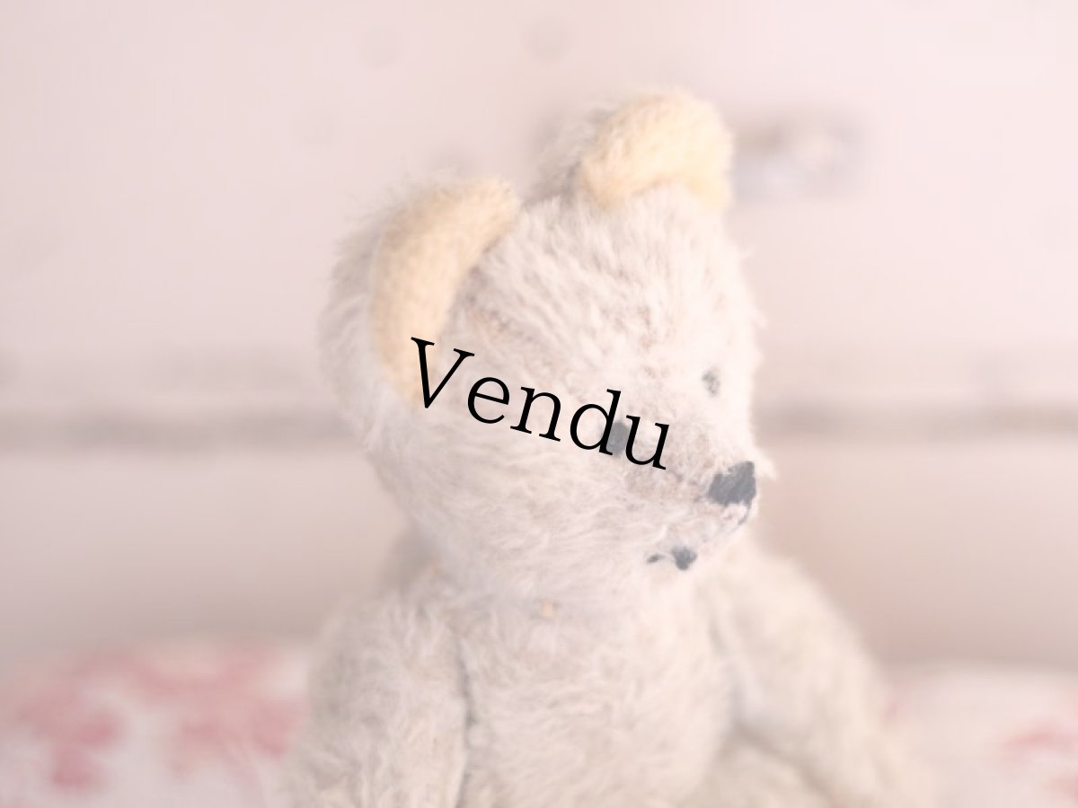 画像7: French Bear/7in//France (7)