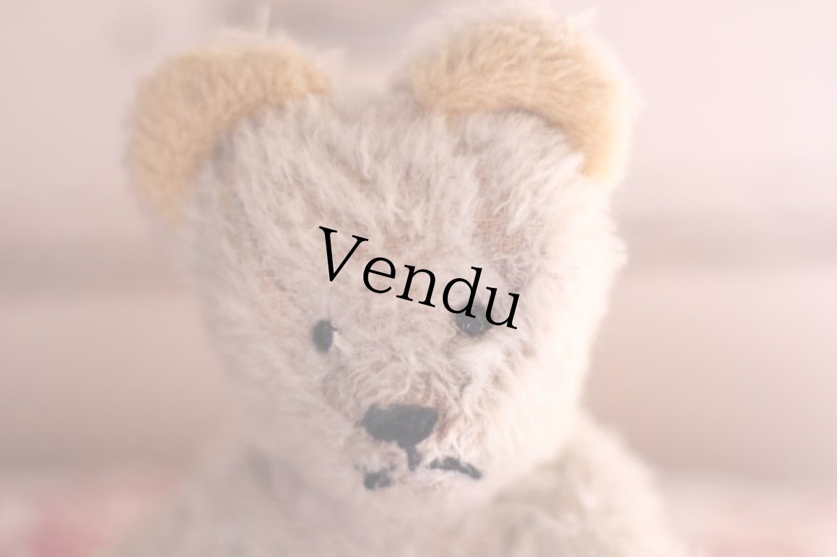 画像2: French Bear/7in//France (2)