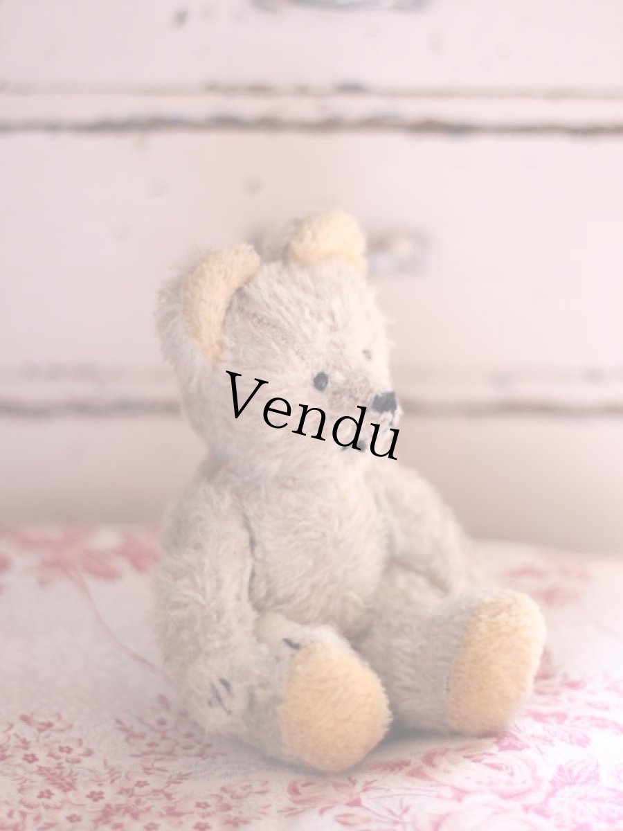 画像4: French Bear/7in//France (4)