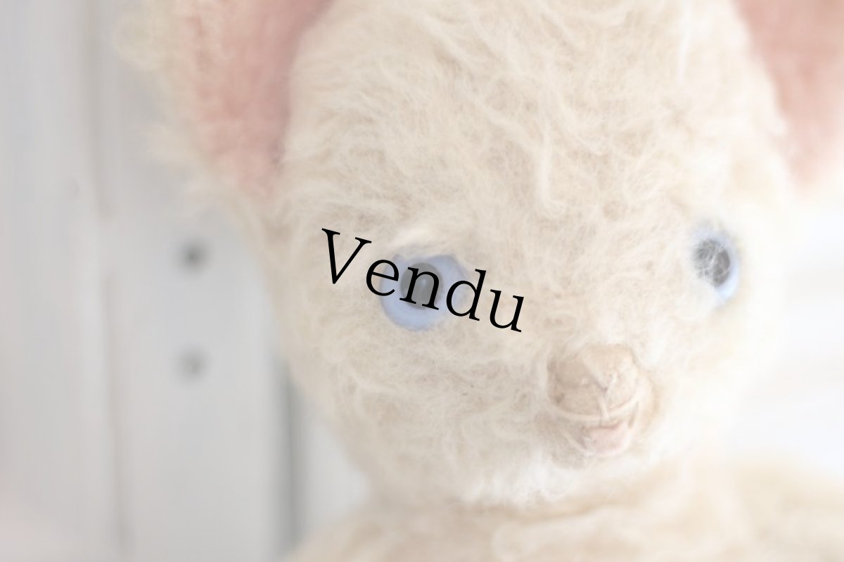 画像8: French Cat//France (8)