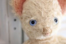 画像8: French Cat//France (8)