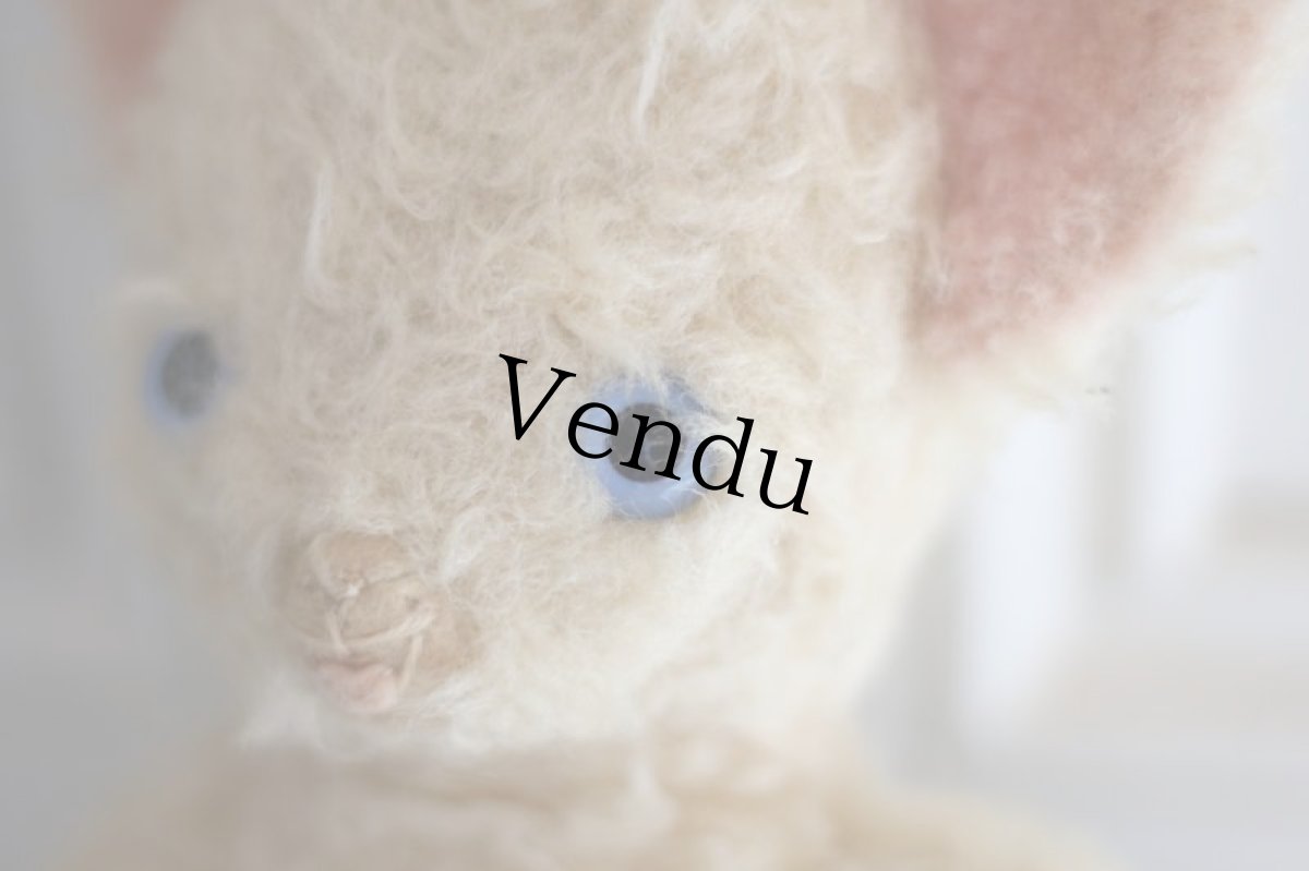 画像7: French Cat//France (7)