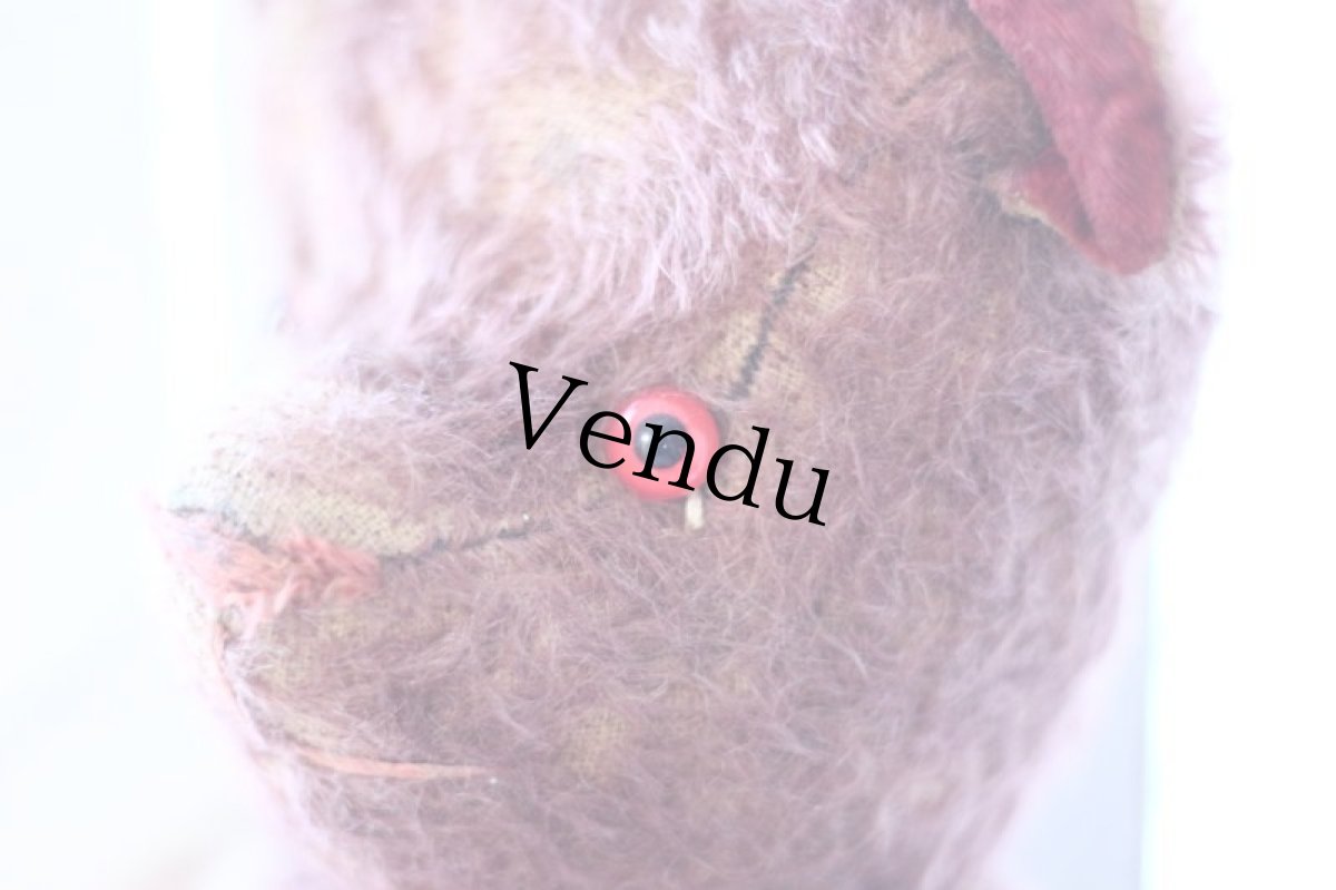 画像5: RARE !! ROSE PINK Le Jouet Paris Massy/J.P.M. Bear//15-3/4in//France (5)