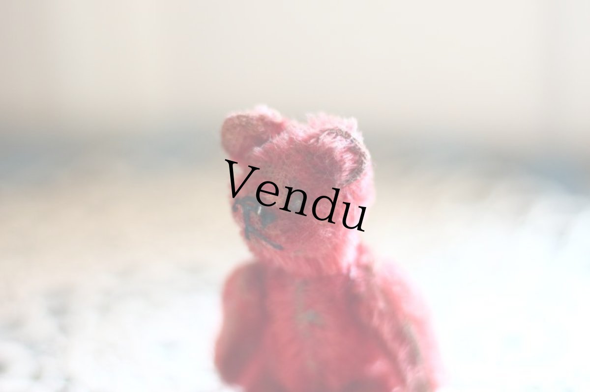 画像10: RARE !! ROSE Schuco bear /3.5in (10)