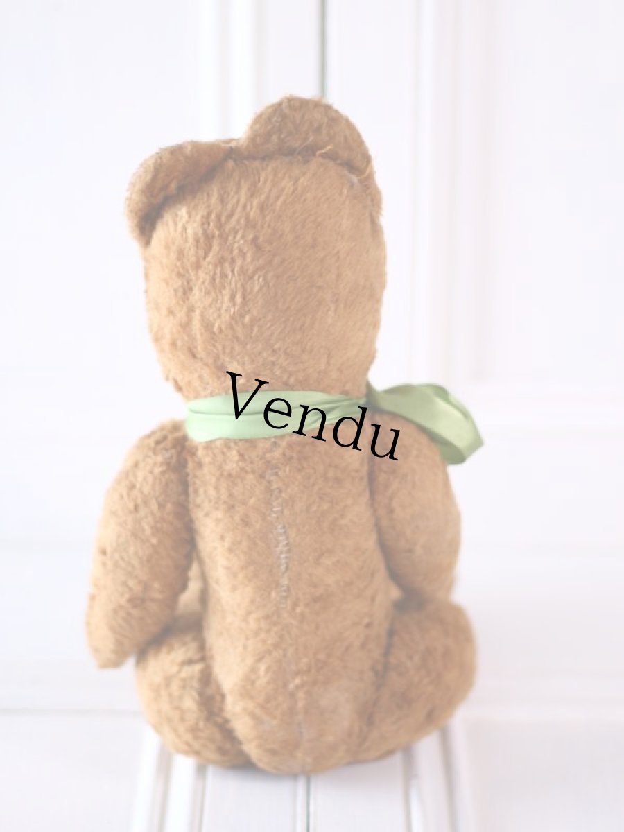 画像9: RARE !! French Bear//15-3/4in//France (9)
