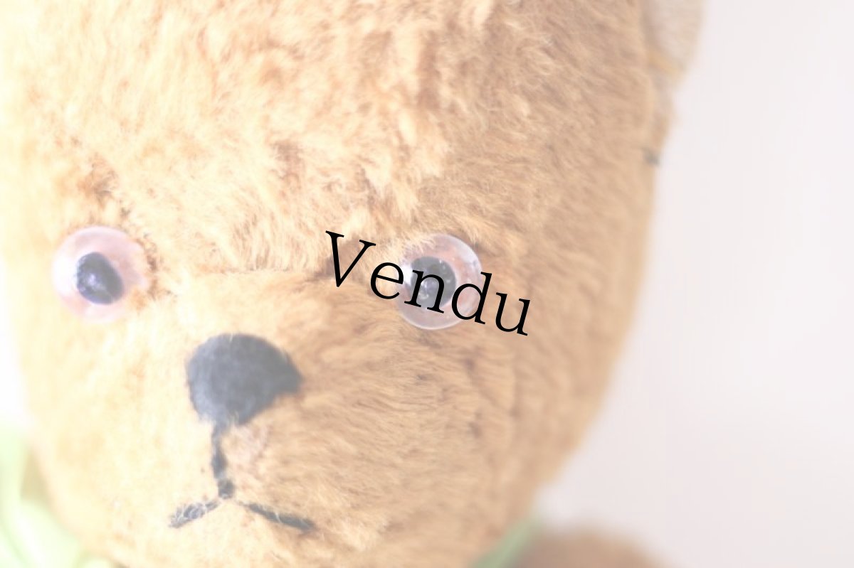 画像4: RARE !! French Bear//15-3/4in//France (4)