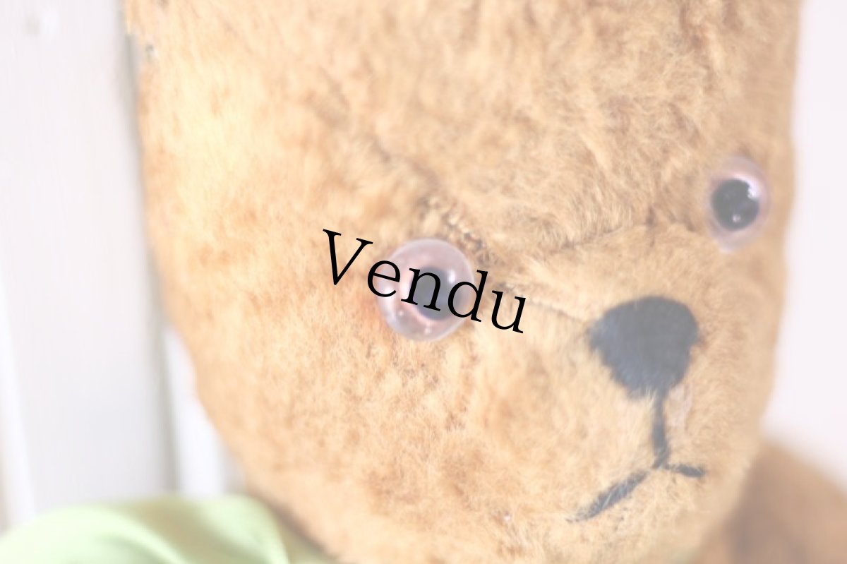 画像3: RARE !! French Bear//15-3/4in//France (3)