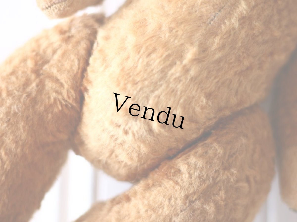 画像10: RARE !! French Bear//15-3/4in//France (10)