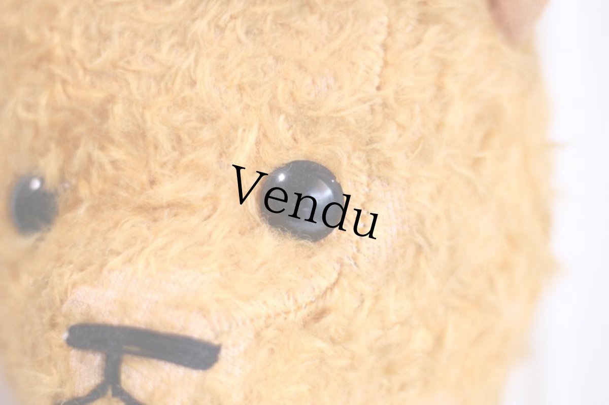 画像6: French Bear//19.5in//France (6)