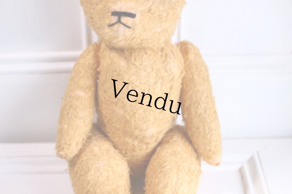 画像3: French Bear//19.5in//France (3)