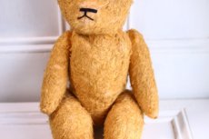 画像3: French Bear//19.5in//France (3)