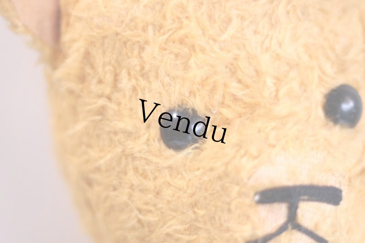 画像5: French Bear//19.5in//France (5)