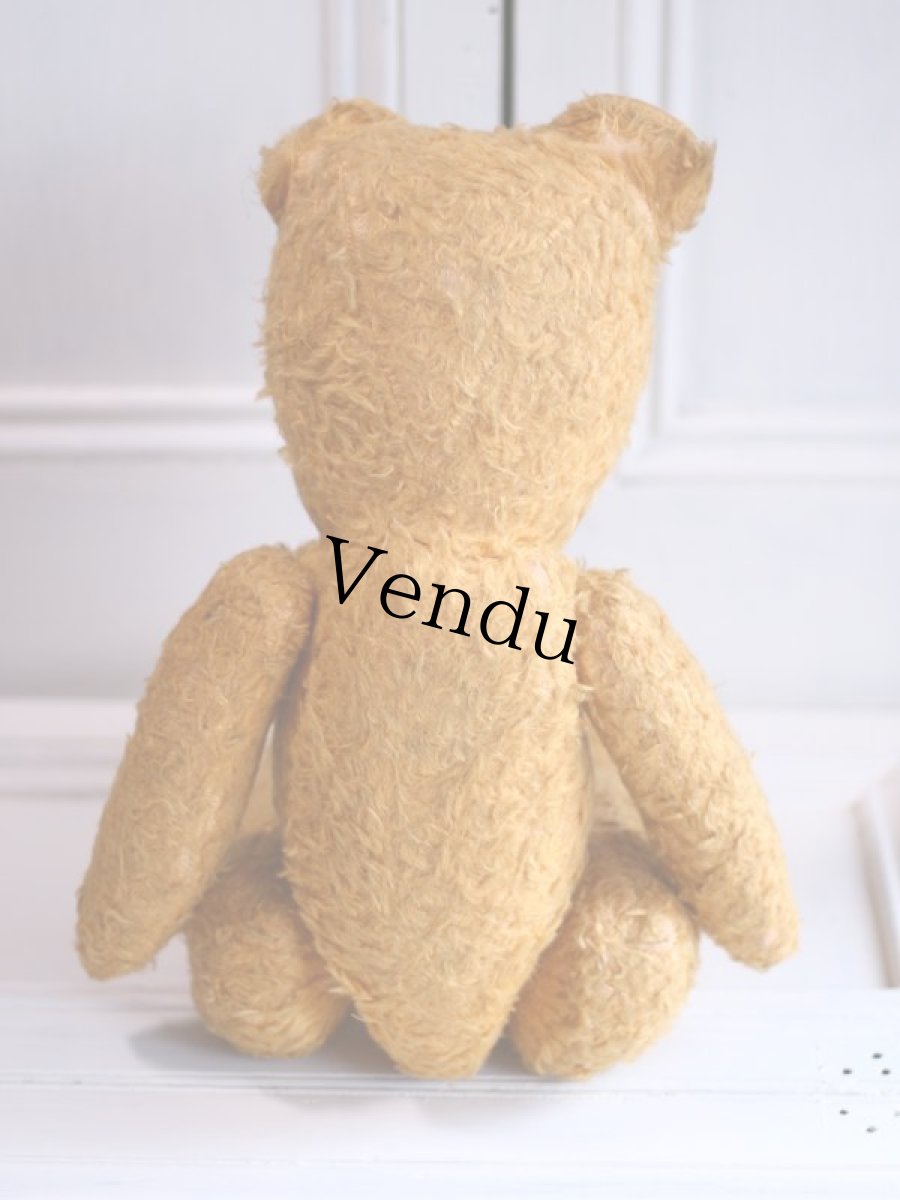 画像9: French Bear//19.5in//France (9)
