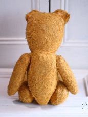 画像9: French Bear//19.5in//France (9)