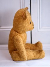 画像7: French Bear//19.5in//France (7)