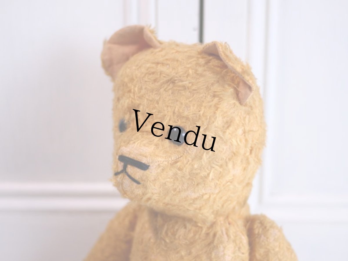 画像11: French Bear//19.5in//France (11)