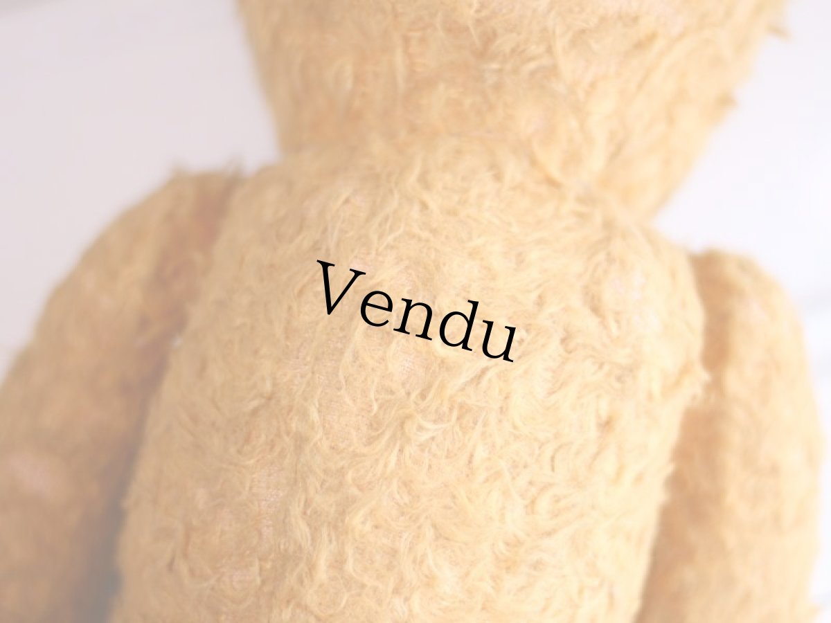 画像13: French Bear//19.5in//France (13)