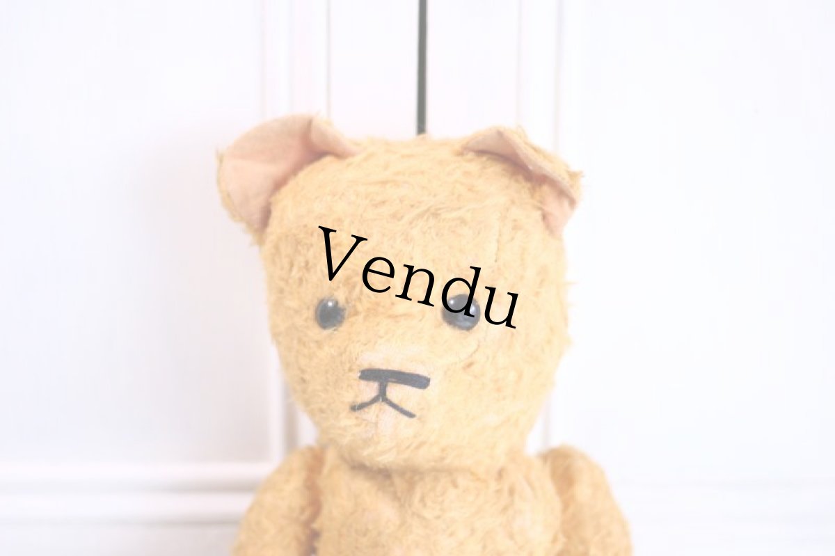 画像2: French Bear//19.5in//France (2)