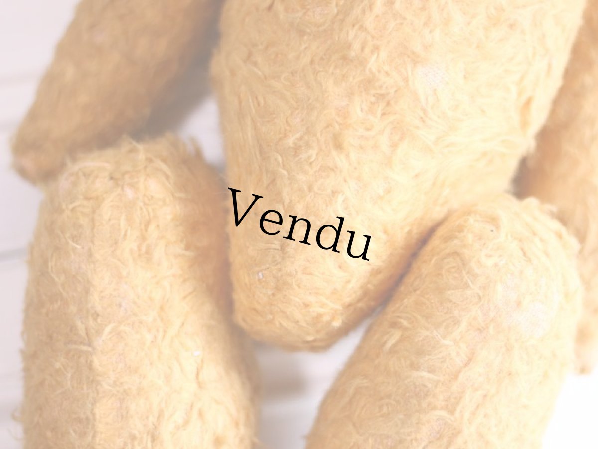 画像12: French Bear//19.5in//France (12)