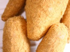 画像12: French Bear//19.5in//France (12)