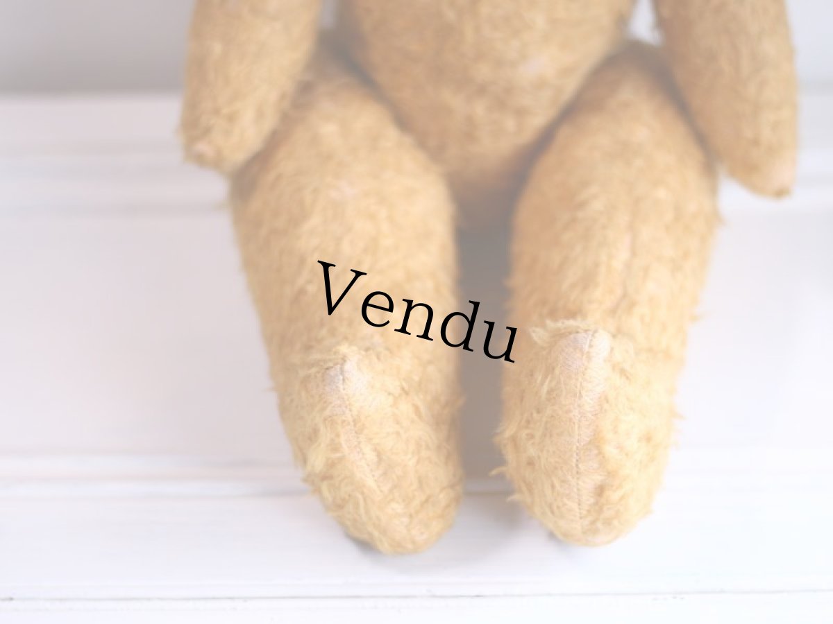 画像4: French Bear//19.5in//France (4)