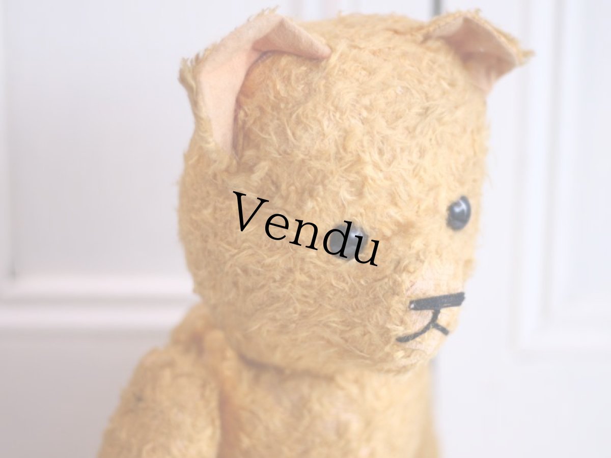 画像10: French Bear//19.5in//France (10)