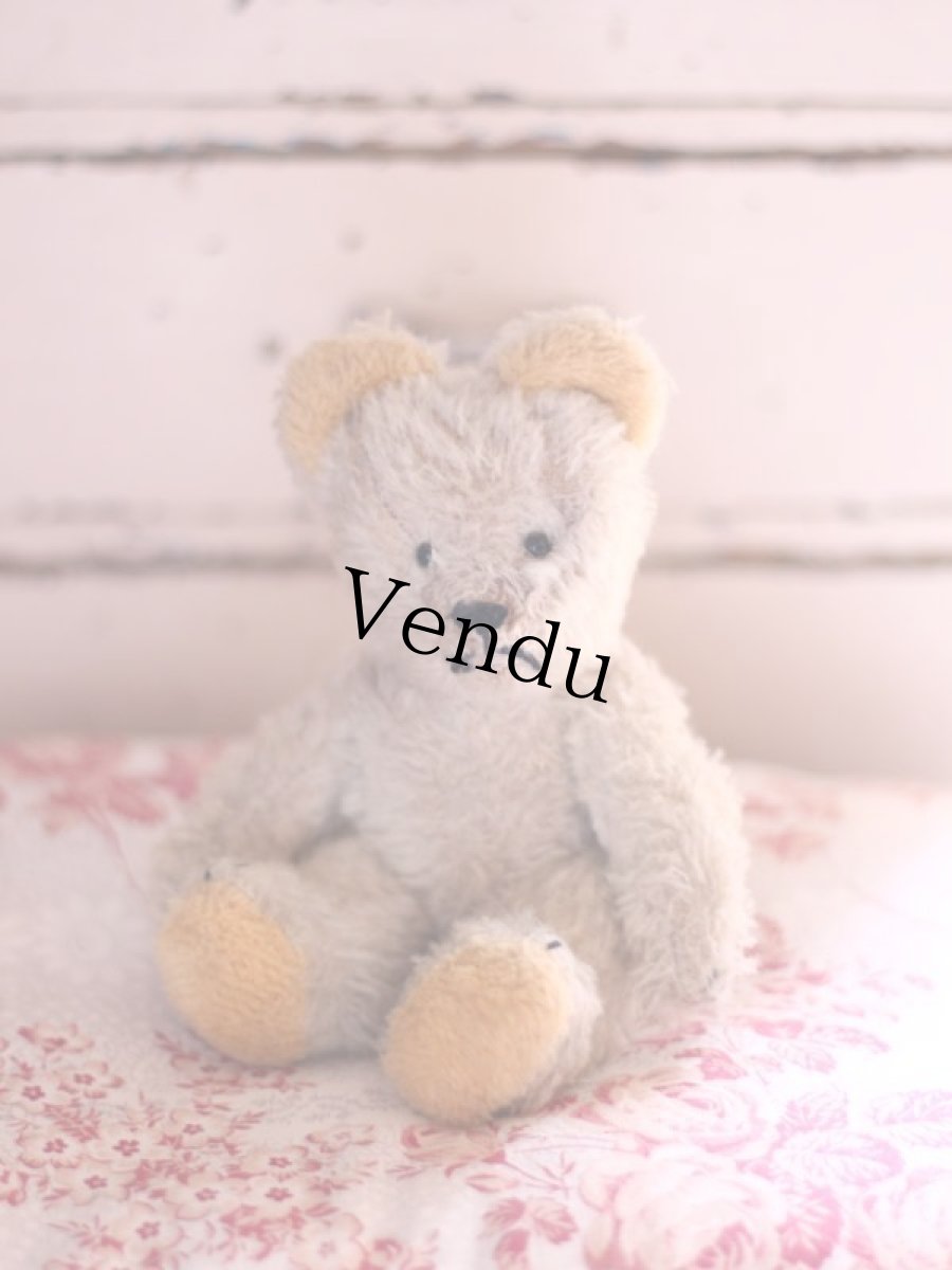 画像1: French Bear/7in//France (1)