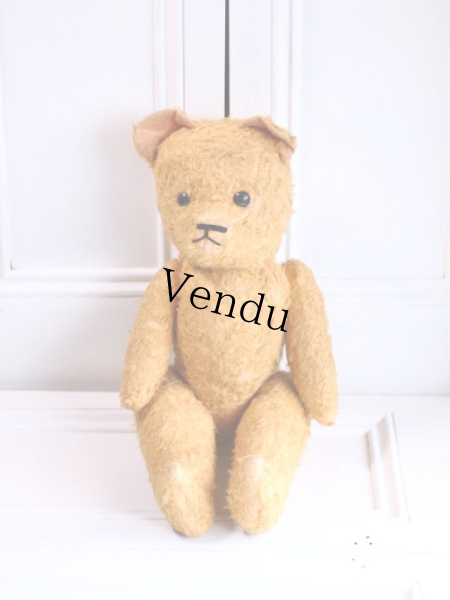 画像1: French Bear//19.5in//France (1)