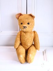 画像1: French Bear//19.5in//France (1)