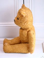 画像8: French Bear//19.5in//France (8)