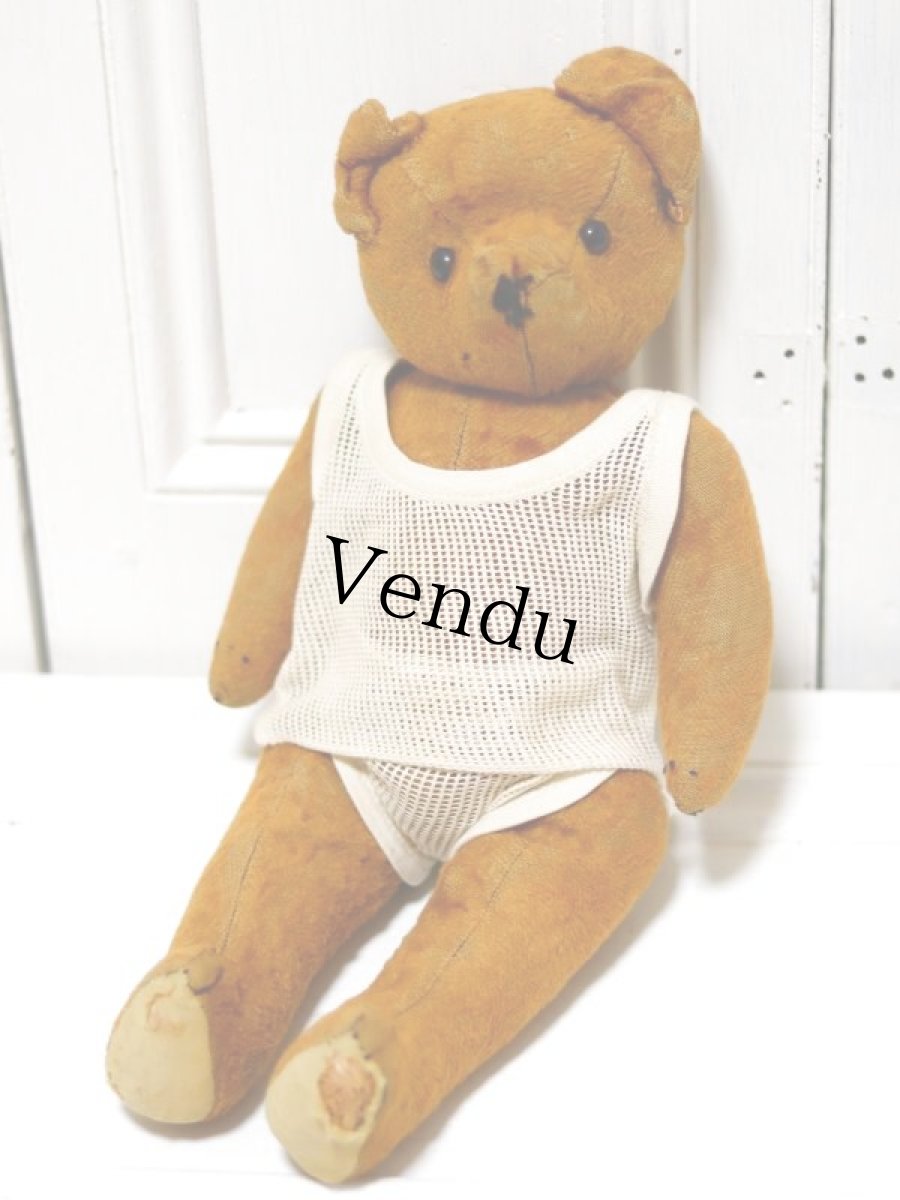 画像1: antique french bear //15in (1)