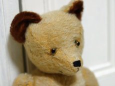画像2: antique french bear //16.5in (2)