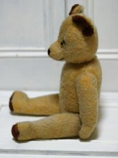 画像5: antique french bear //16.5in (5)