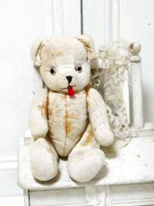 画像1: antique french bear //11-3/4in (1)