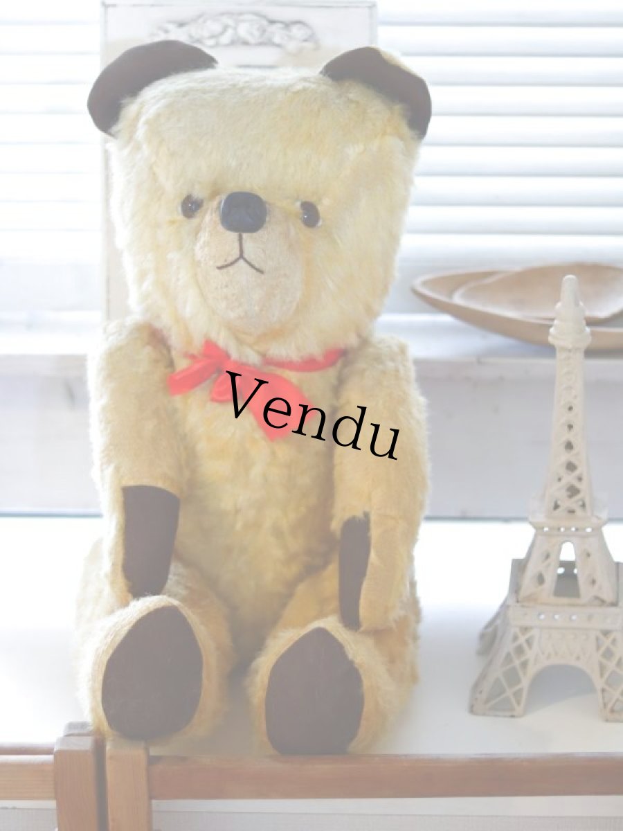 画像1: antique french bear (1)