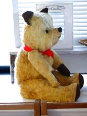 画像3: antique french bear (3)