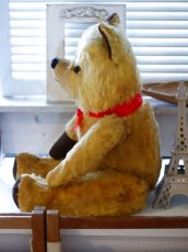 画像5: antique french bear (5)