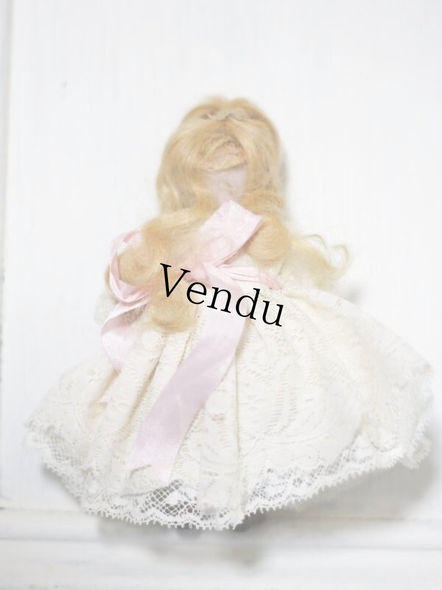 画像7: All Bisque Mignonette (7)