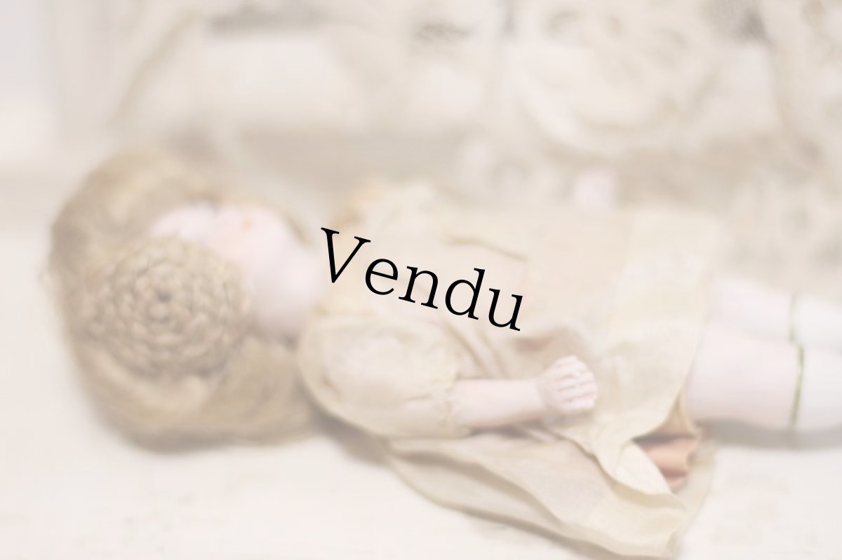 画像8: Kestner// mignonette //6in (8)